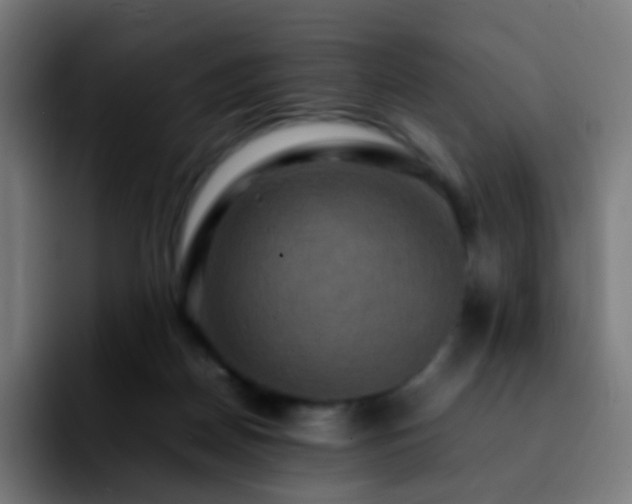 X0000092230170200709211032
