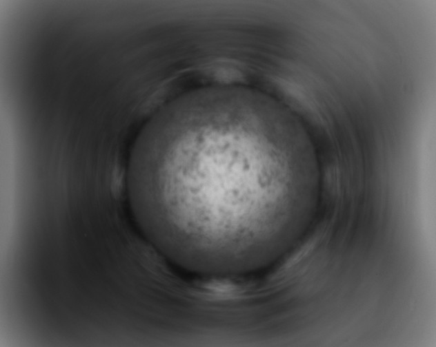 X0000092230177200709211032