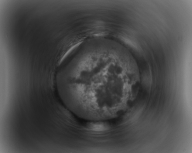 X0000092230181200709211032