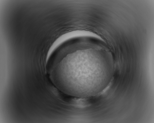 X0000092230186200709211032