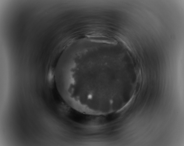 X0000092230191200709211032