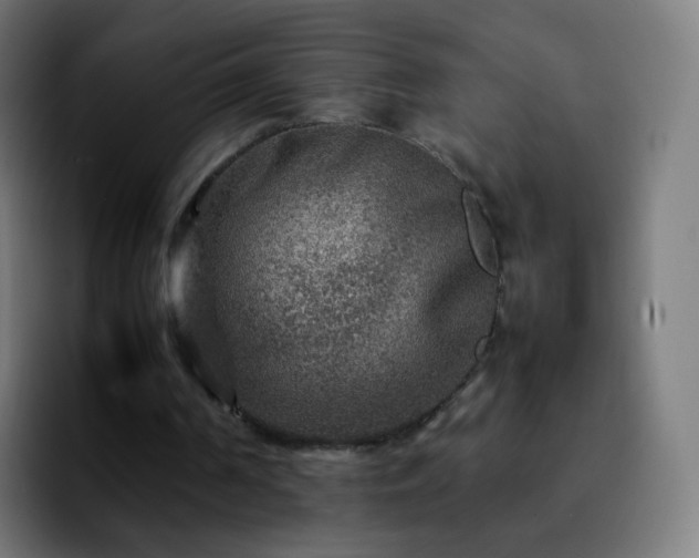 X0000092230194200709211031