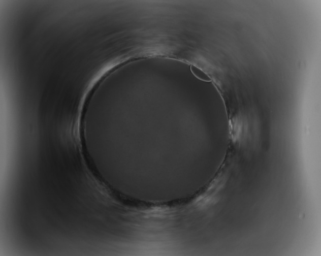 X0000092230196200709211031