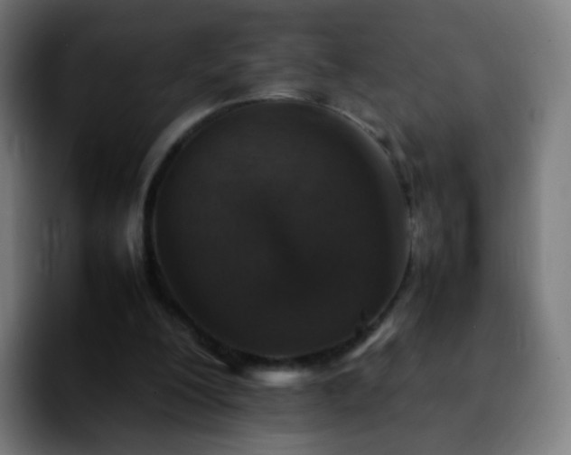 X0000092230200200709211031