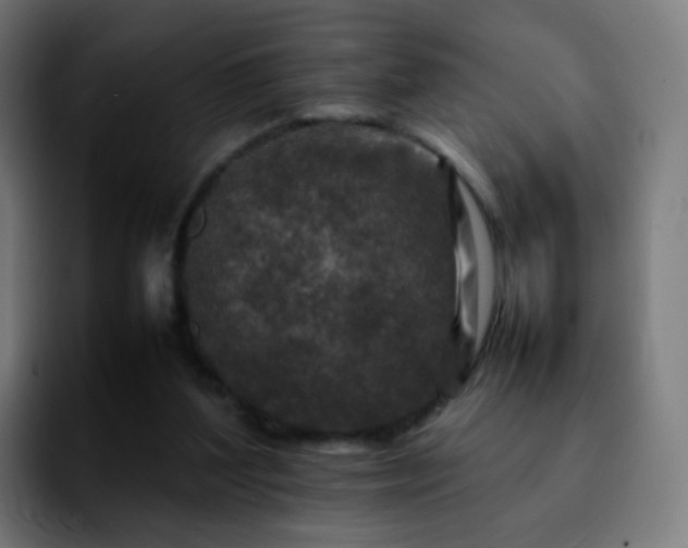 X0000092230204200709211031