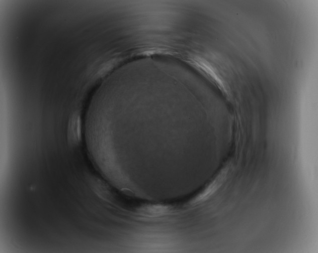 X0000092230205200709211031