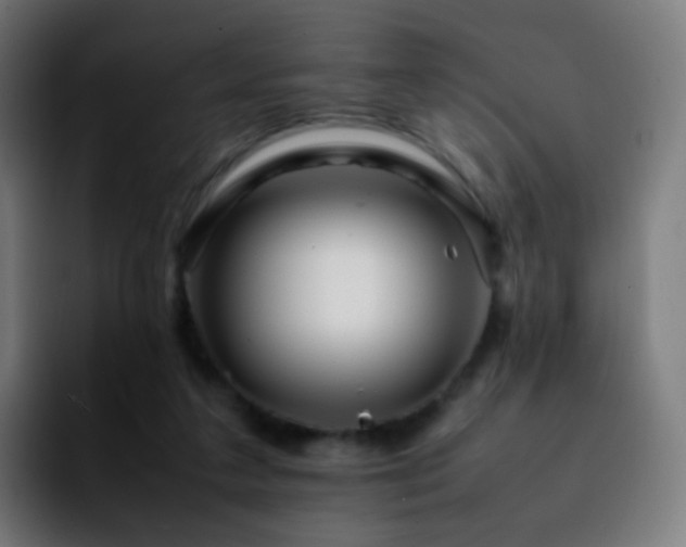 X0000092230211200709211031