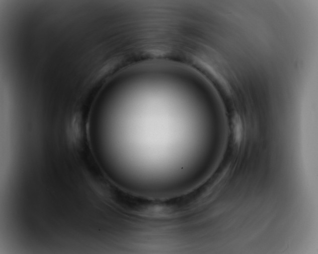 X0000092230212200709211031