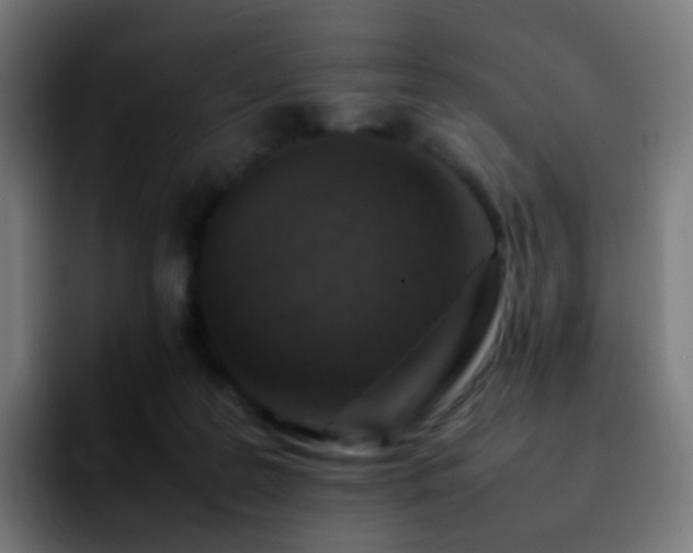 X0000092230219200709211031
