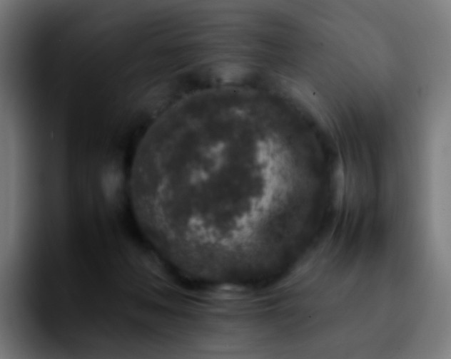 X0000092230222200709211031