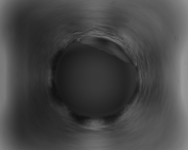 X0000092230223200709211031