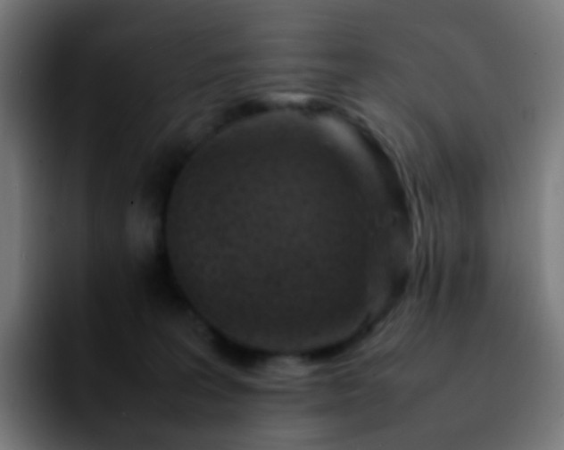 X0000092230227200709211031