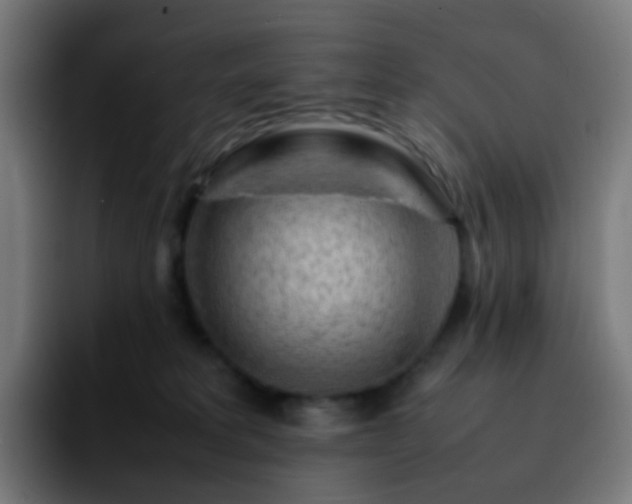 X0000092230229200709211031