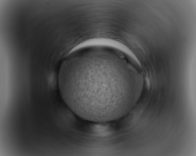 X0000092230232200709211031