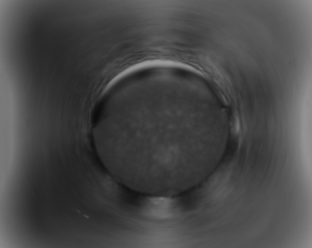 X0000092230233200709211031