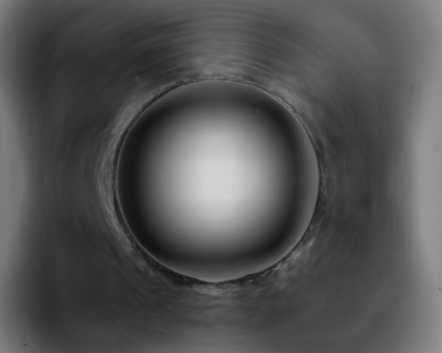 X0000092230241200709211030
