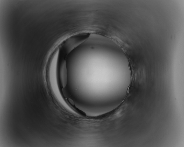 X0000092230244200709211030