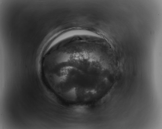 X0000092230247200709211030