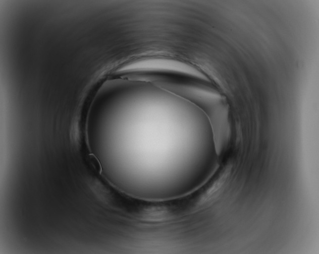X0000092230252200709211031