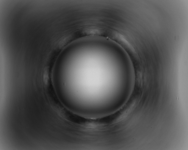 X0000092230259200709211031