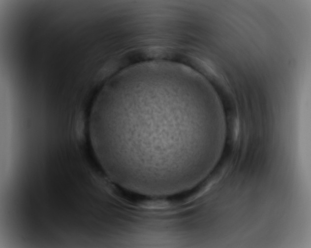 X0000092230266200709211031