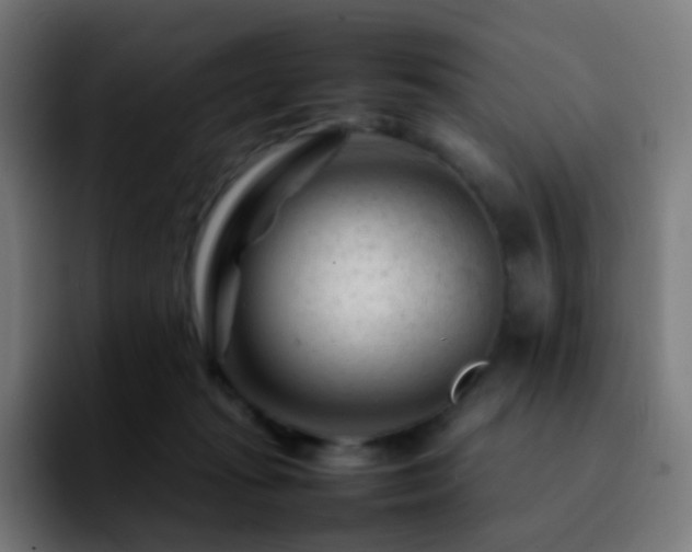 X0000092230269200709211031