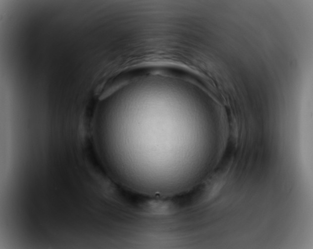 X0000092230272200709211031