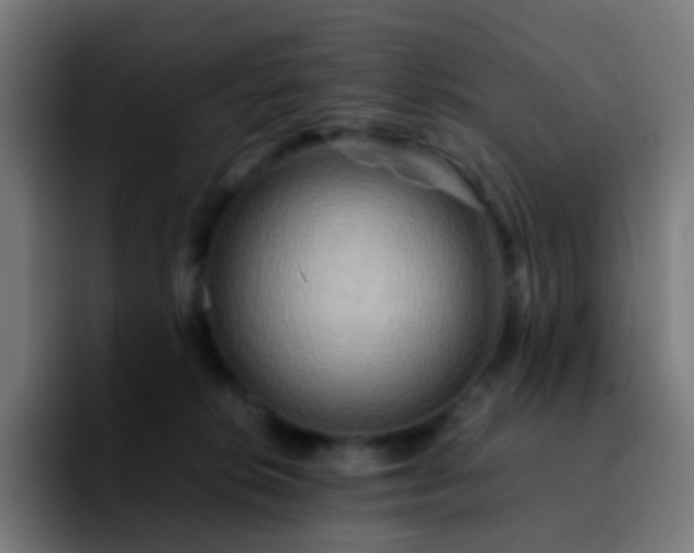 X0000092230276200709211031