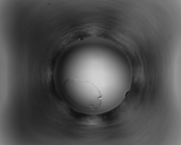 X0000092230279200709211031