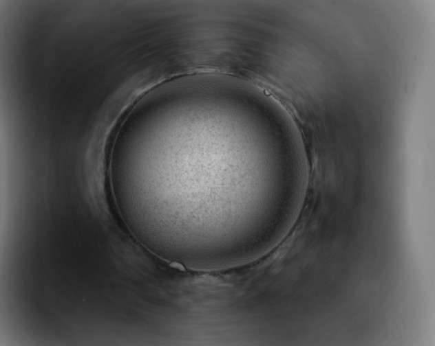 X0000092230290200709211030
