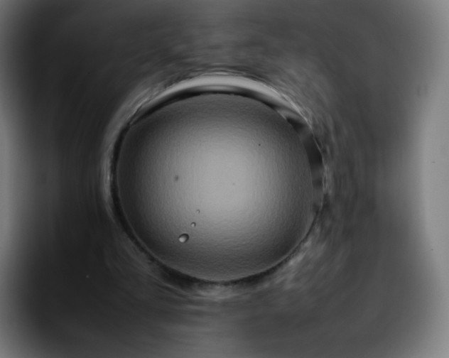 X0000092230293200709211030