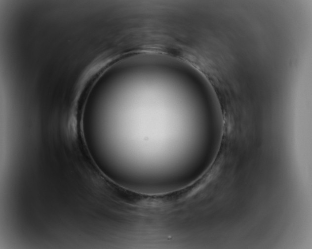 X0000092230294200709211030