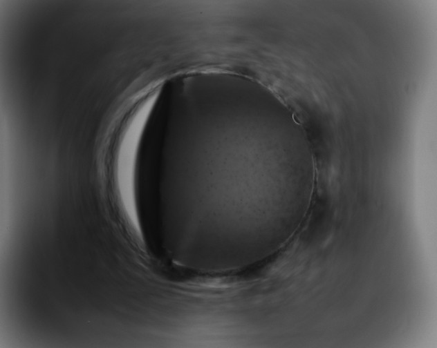 X0000092230295200709211030