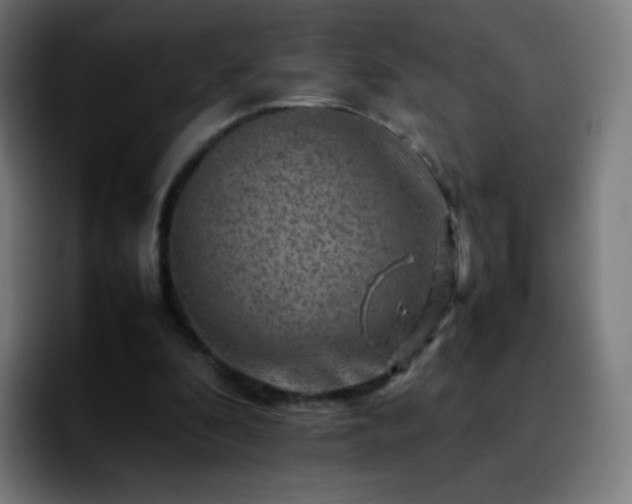X0000092230296200709211030