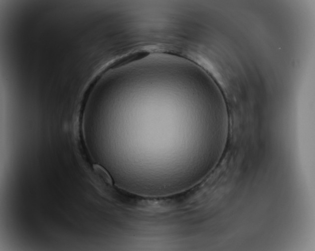X0000092230297200709211030