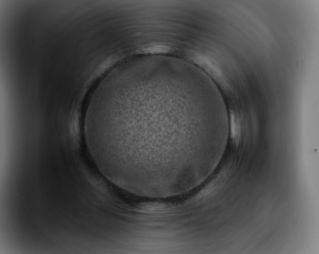 X0000092230300200709211030