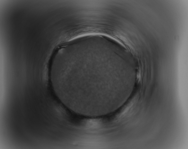 X0000092230303200709211030