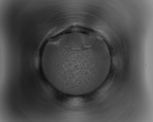 X0000092230304200709211030
