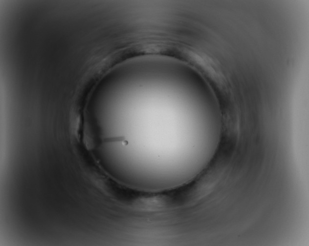 X0000092230307200709211030