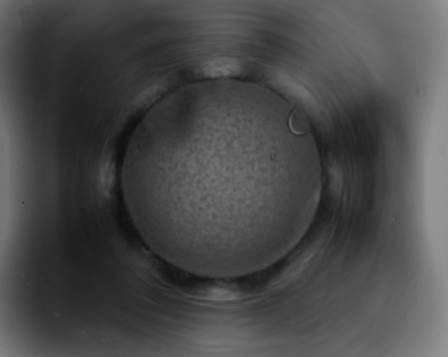 X0000092230308200709211030