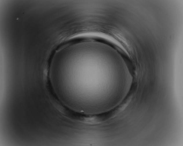 X0000092230309200709211030