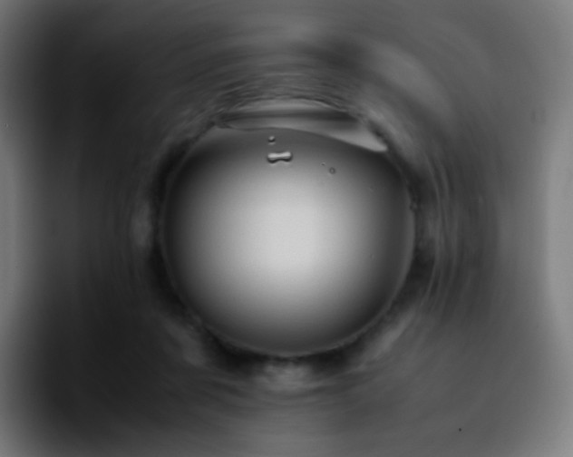 X0000092230311200709211030