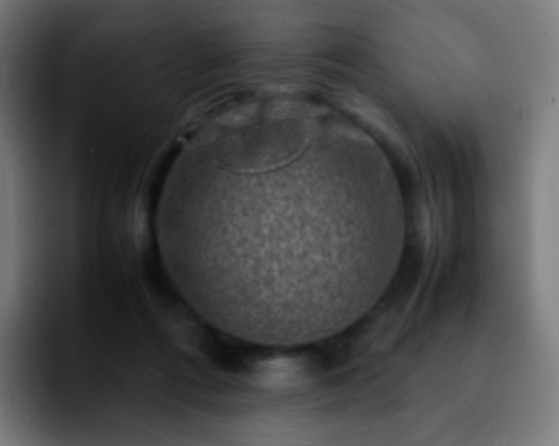 X0000092230312200709211030