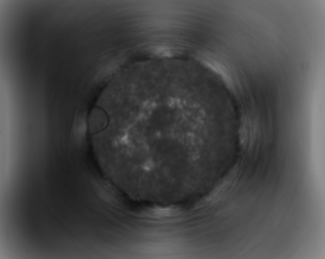 X0000092230314200709211030