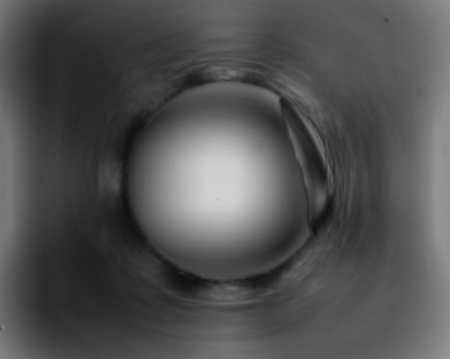 X0000092230315200709211030