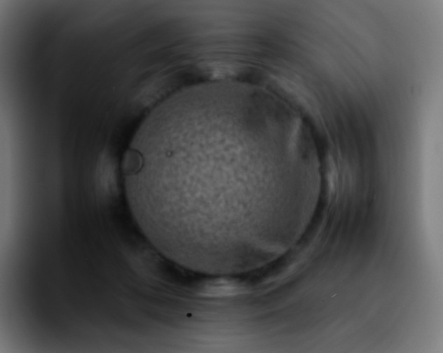 X0000092230316200709211030