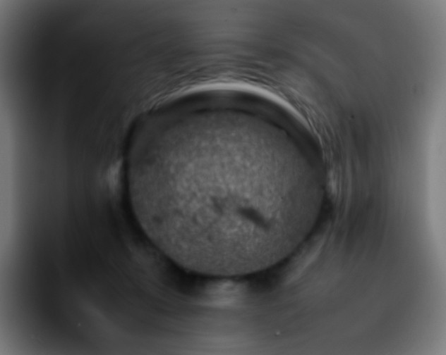 X0000092230319200709211030