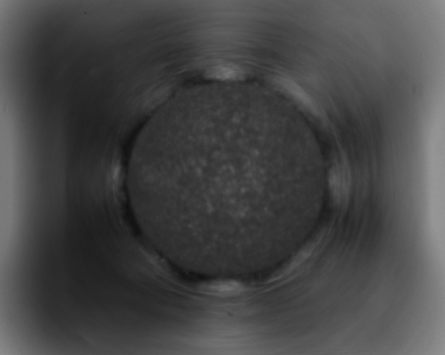 X0000092230322200709211030