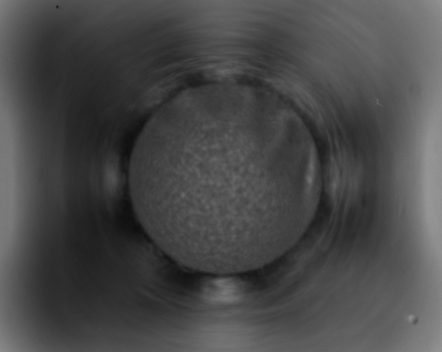 X0000092230324200709211030