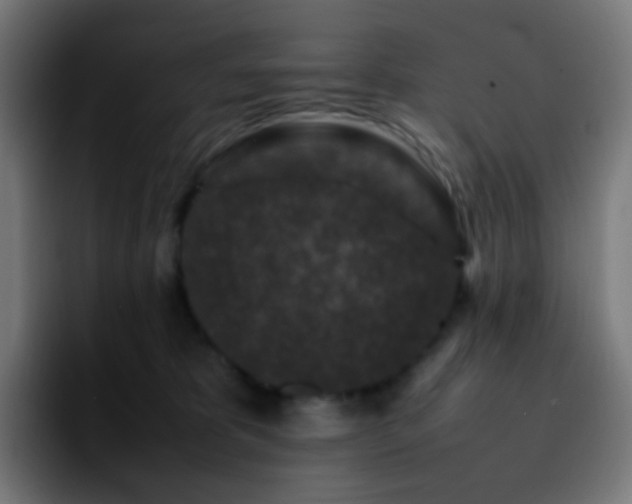 X0000092230325200709211030